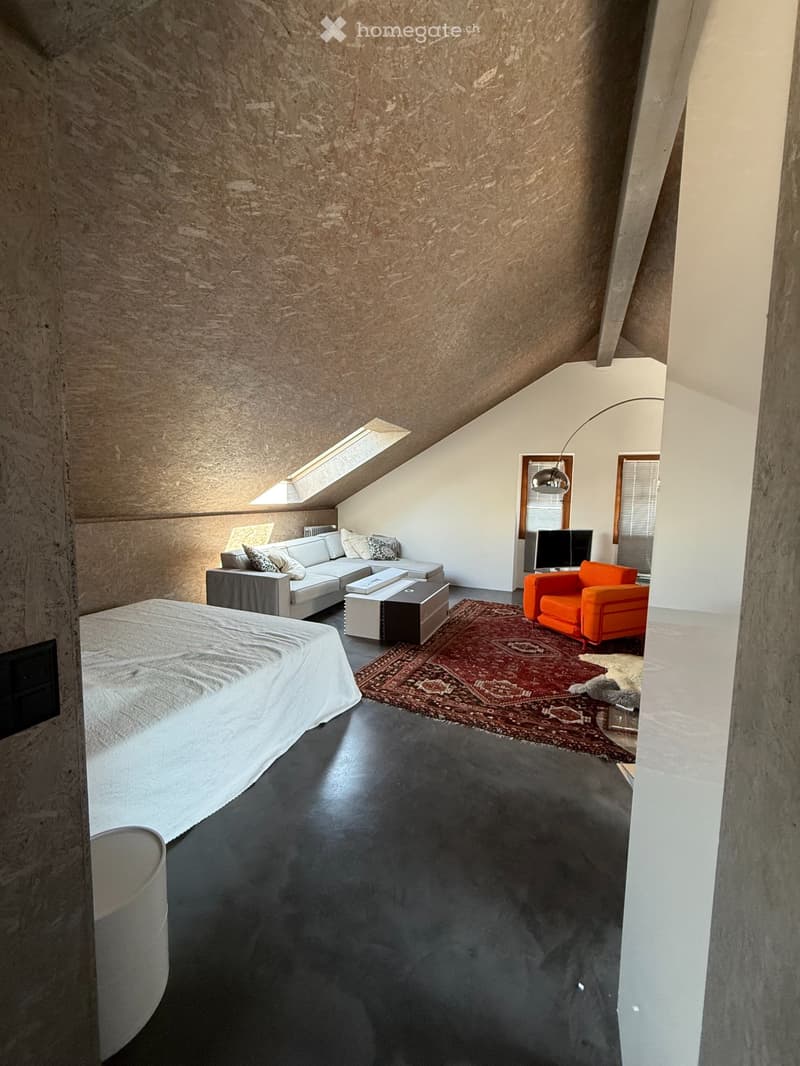 Magnifique Loft meublé à Chavannes-près-Renens (5)