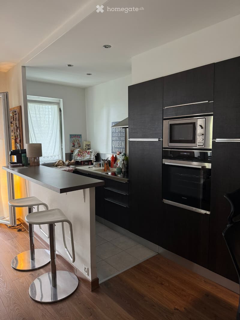 Appartement de 1.5 pièce avec terrasse sud vue sur lac (3)