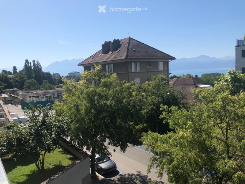 Appartement de 1.5 pièce avec terrasse sud vue sur lac (1)