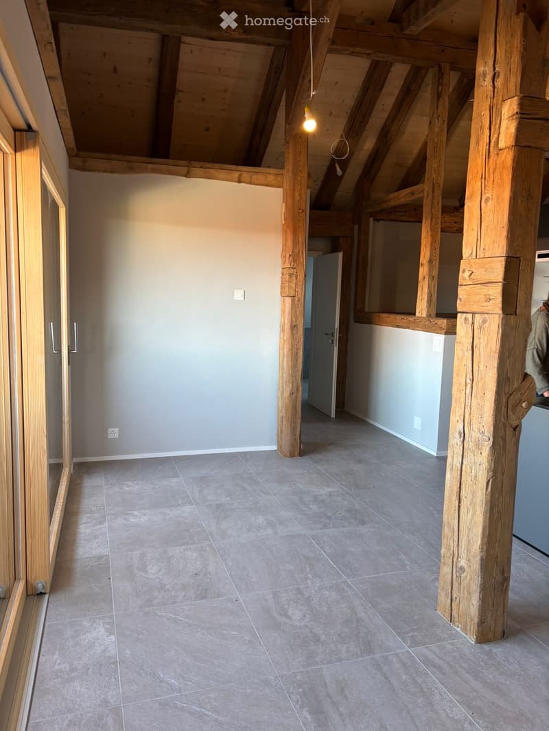 Apparemment de 2,5 pièces à Villarlod (2)