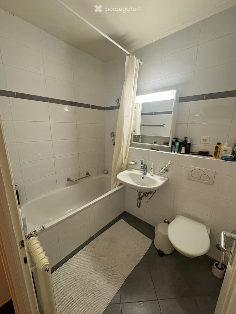 Charming Apartment in Eaux-Vives, Available November 1, 2026 (5)