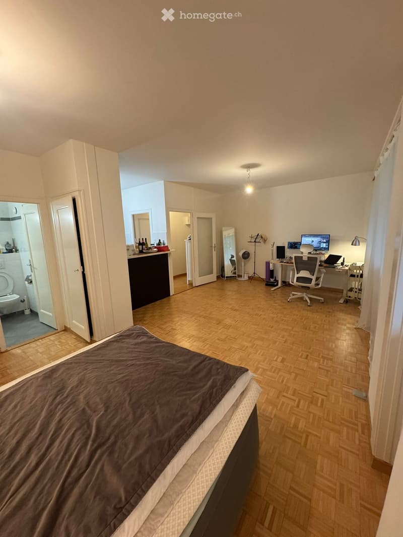 Charming Apartment in Eaux-Vives, Available November 1, 2026 (1)