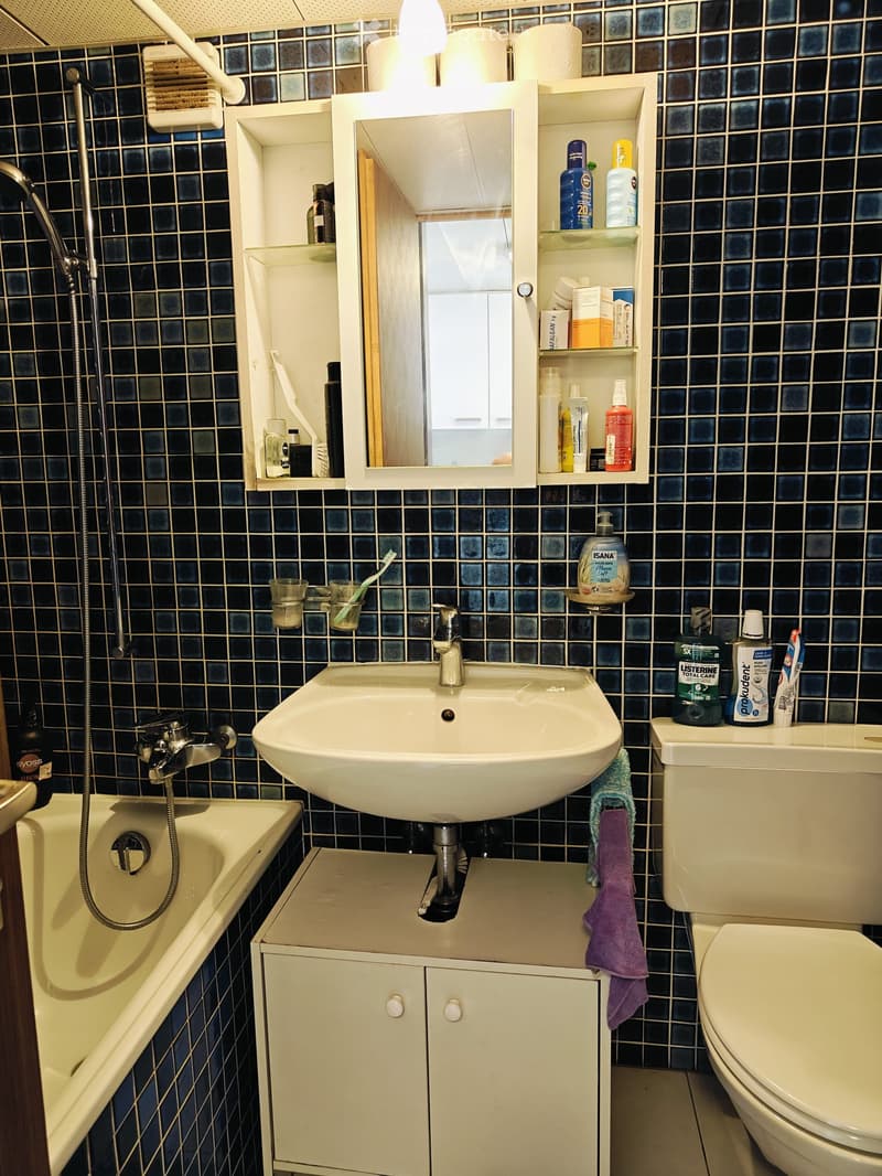 Möbiliertes 1.5-Zimmer-Studio mit Bergblick in Naters (3)
