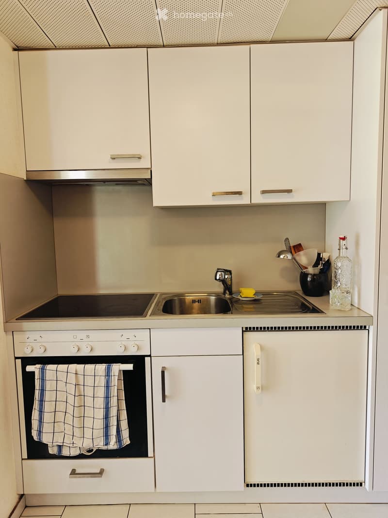 Möbiliertes 1.5-Zimmer-Studio mit Bergblick in Naters (4)