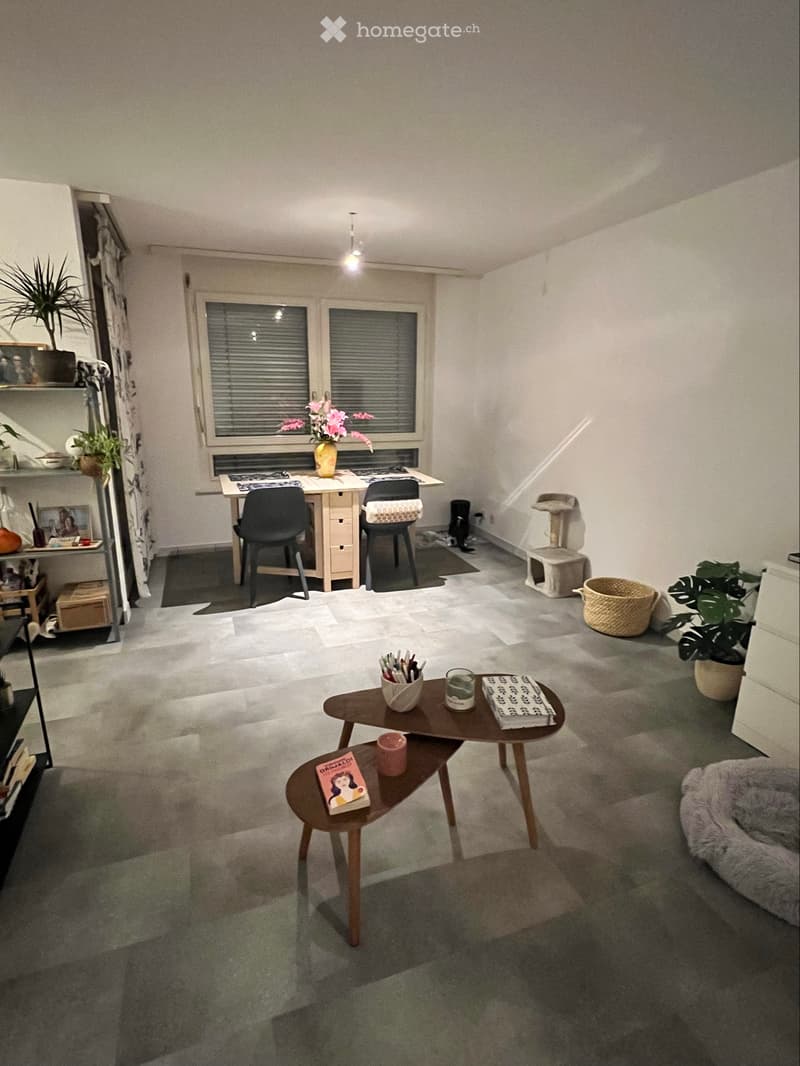 Neyruz Appartement 2,5 pièces lumineux avec terrasse (2)