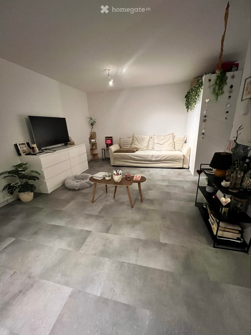 Neyruz Appartement 2,5 pièces lumineux avec terrasse (1)