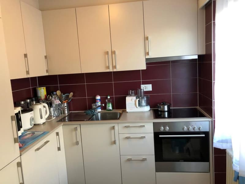 MARTIGNY - Appartement 4.5 pièces (6)