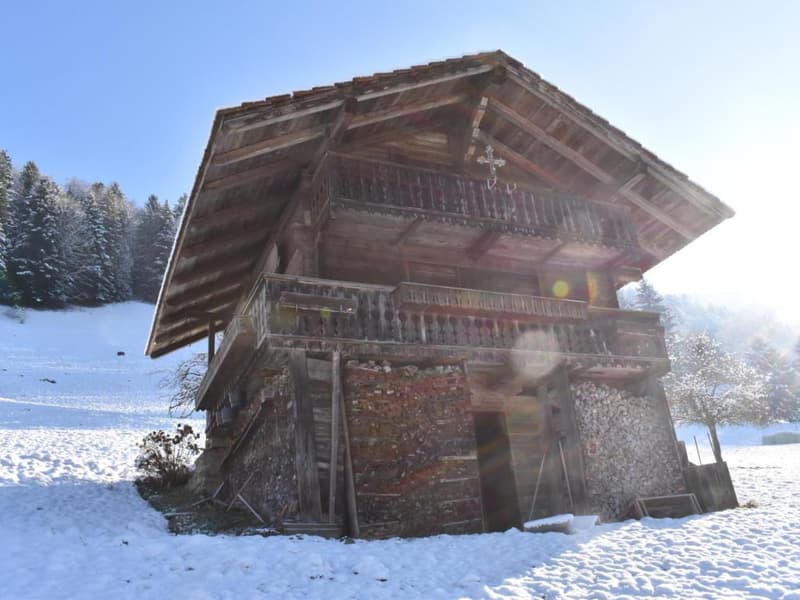 Chenarlier - Ferme + annexes à rénover (8)