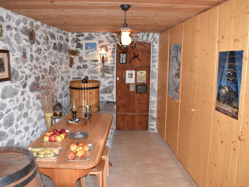 Collonges : Appartement 2.5 et annexes (10)