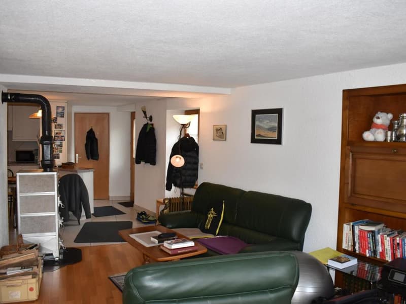 Collonges : Appartement 2.5 et annexes (2)