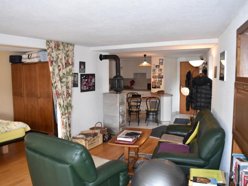 Collonges : Appartement 2.5 et annexes (3)