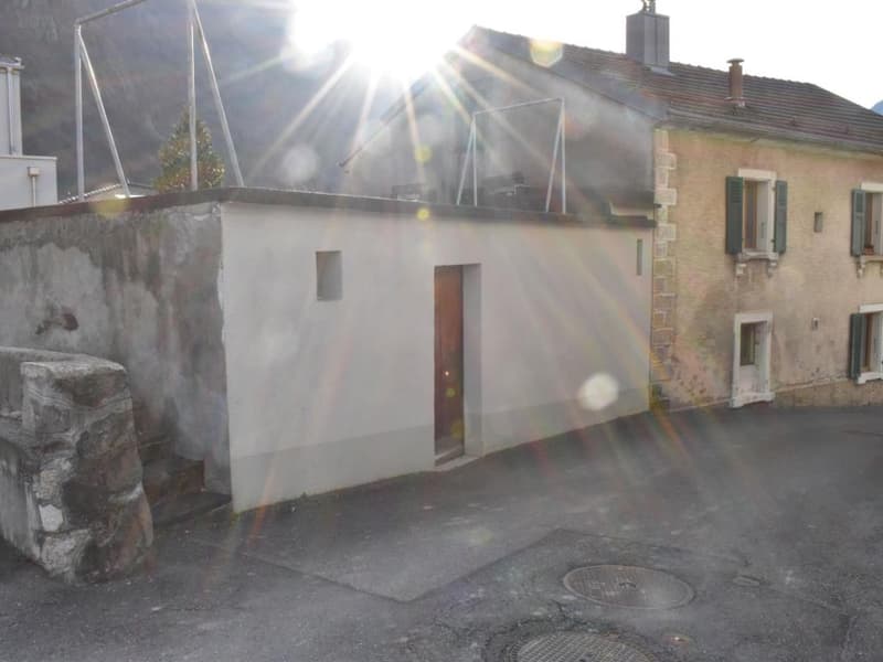Collonges : Appartement 2.5 et annexes (9)