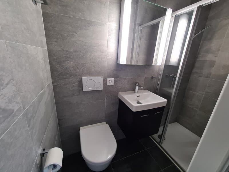 06230 - Appartement 4.5 pièces - Ch. de la Barme 39 - Collombey (4)