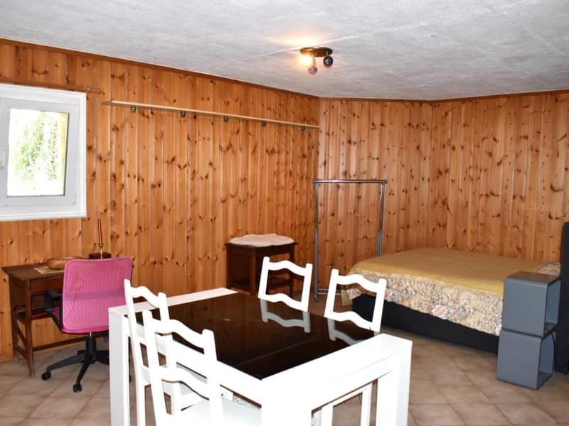 Monthey - Local pour atelier, dépôt ou carnotzet (2)