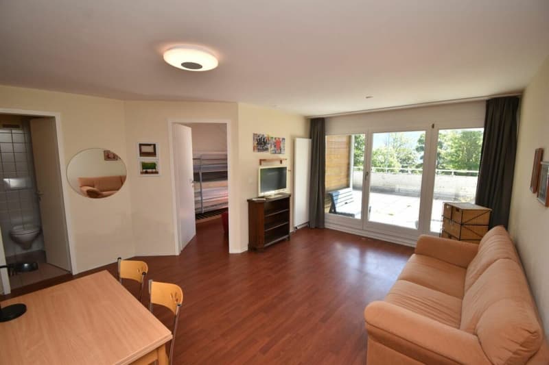 Appartement 4.5 pièces à Leysin (7)