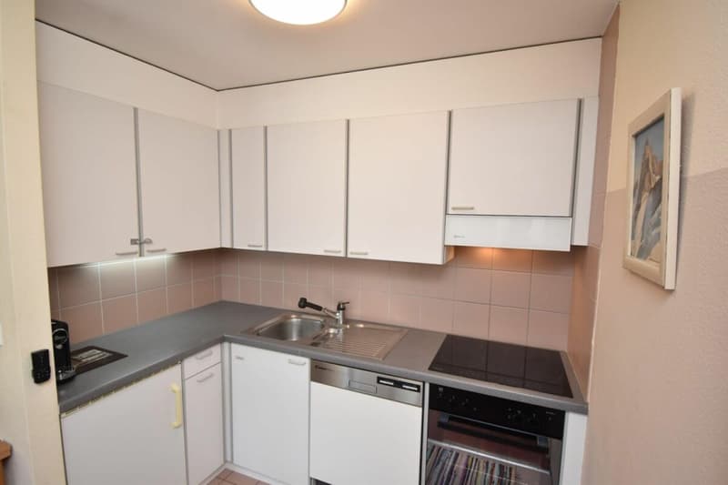 Apartment 4.5 rooms in Leysin (3)