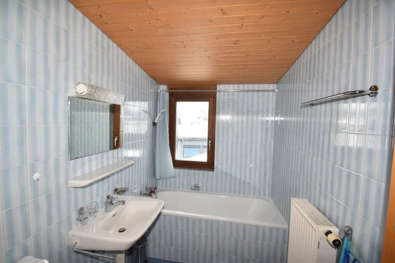Appartement 2 pièces dans les combles (4)