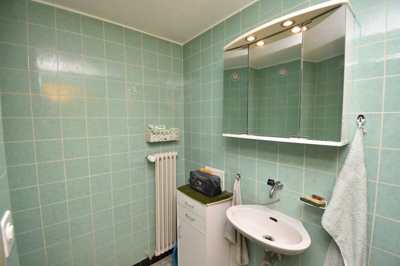 Appartement familial au pied des télécabines (7)