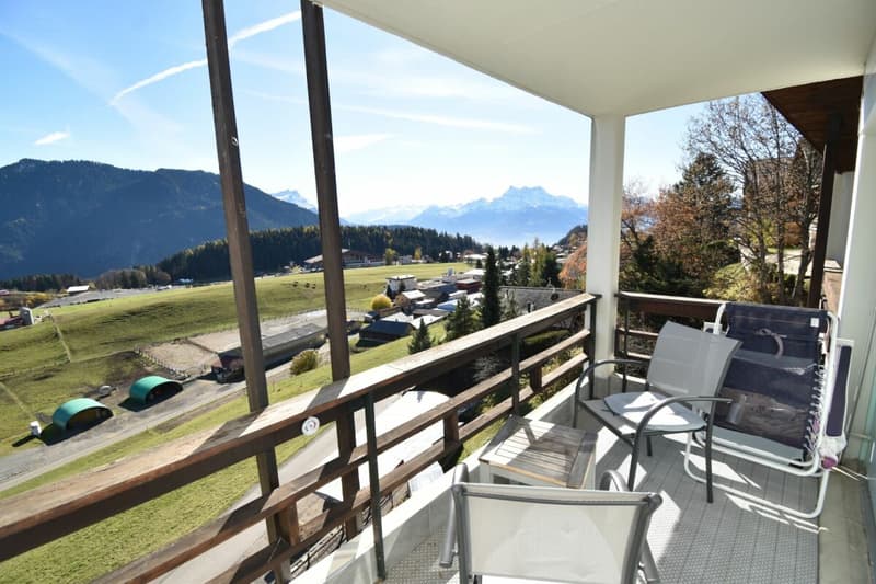 Appartement familial au pied des télécabines (8)