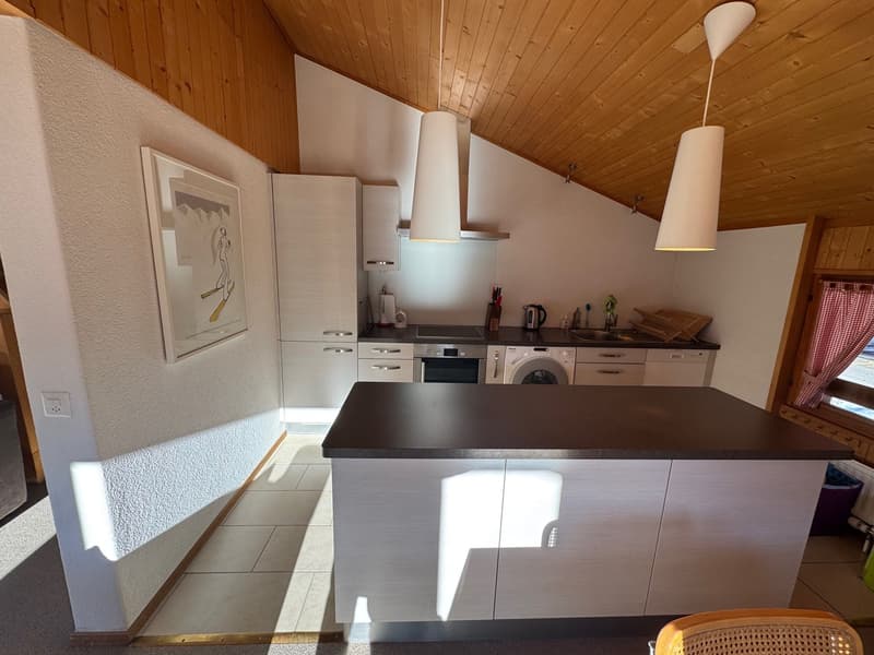 modern kitchen, light wooden ceiling, island countertop, large cabinets, appliances, window with red curtain