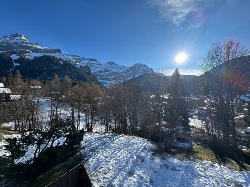 View of a mountain valley covered in snow