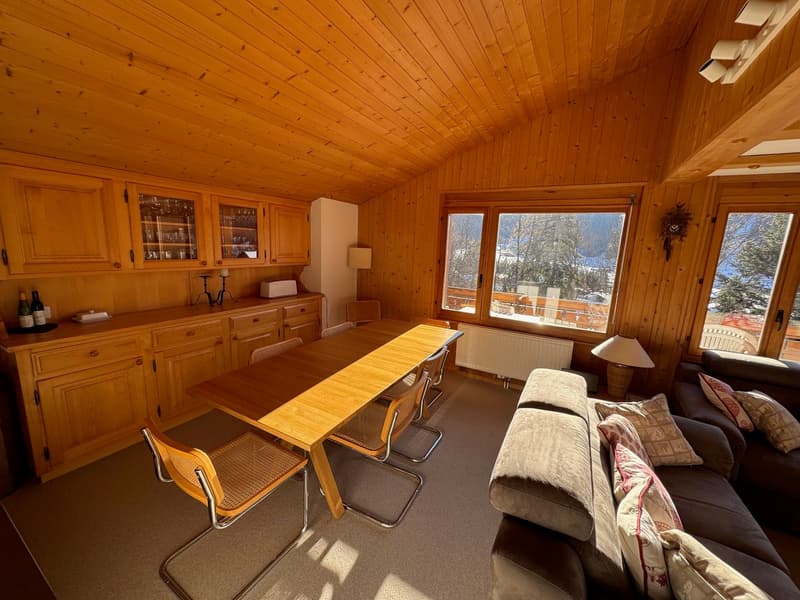 Large wooden dining table, chairs, open plan living/dining room with wood paneling, couch with cushions, lamp, large windows, and radiator.