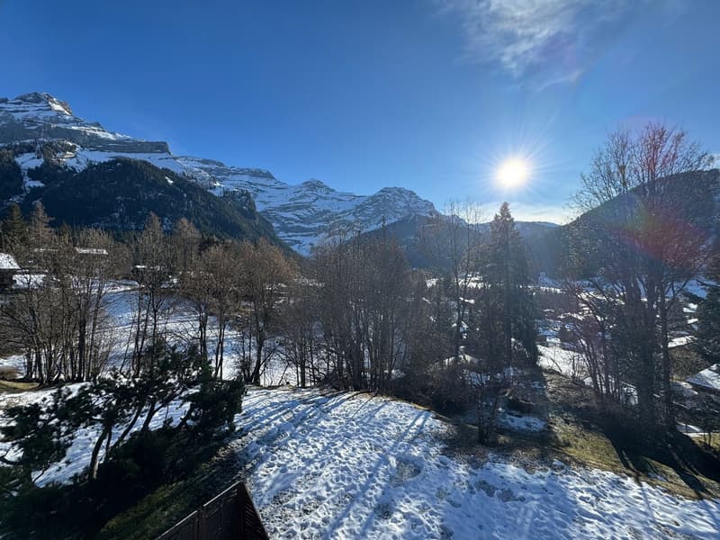 Mountainous area with snow-covered landscape, clear sky, mountain range, trees and shrubs