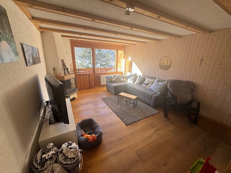 grey sofa, wooden coffee table, carpet, floor heating, flat screen TV, wooden walls, large window, fireplace