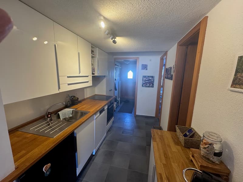 stainless steel sink, granite countertop, built-in cabinets, dishwasher, induction cooktop, black fridge