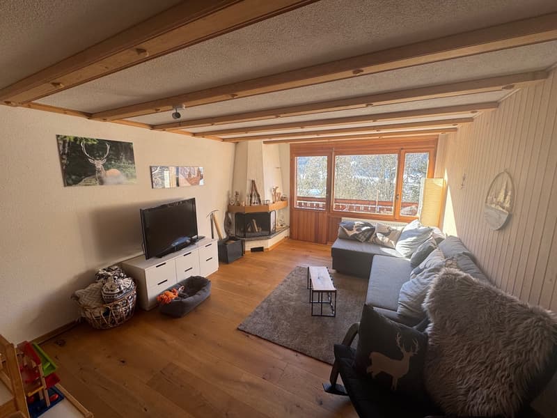 wood floor, fireplace, couch, TV, basket, wooden tray, carpet, toys
