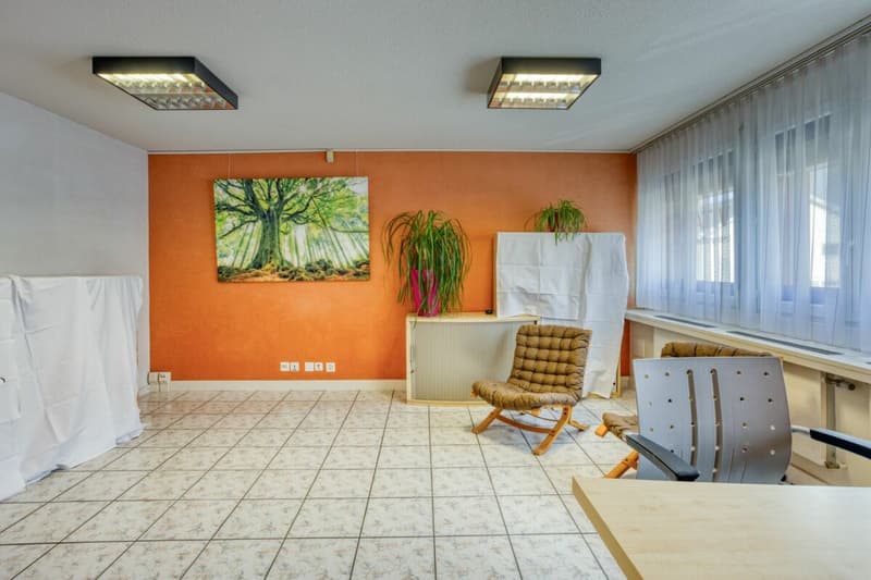 Appartement 3.5 pièces à VENDRE (2)