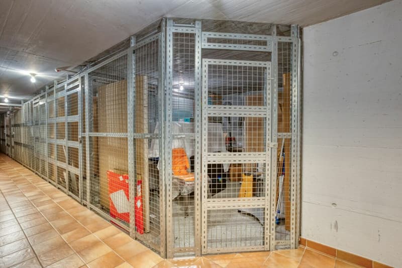 Appartement 3.5 pièces à VENDRE (4)