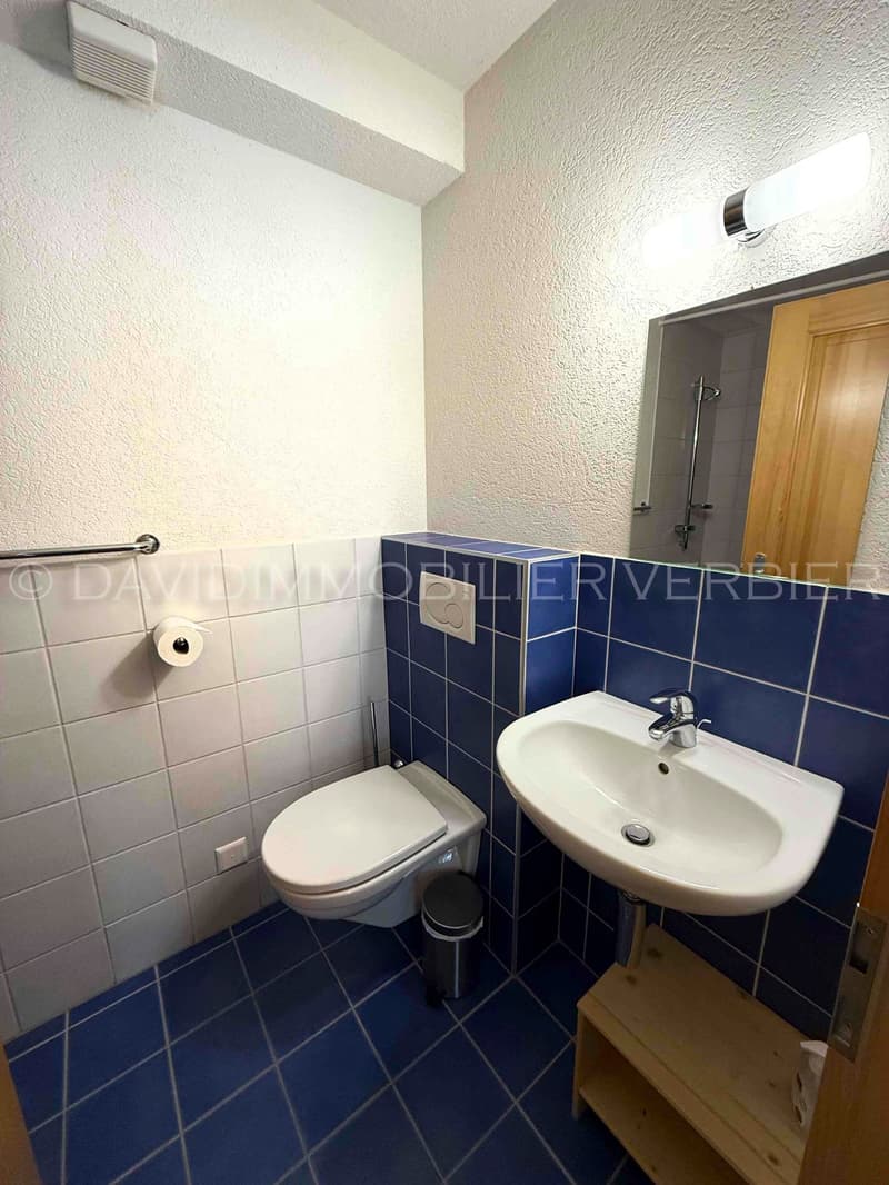 Somptueux Chalet familiale 5*  5 chambres à Cries (Val de Bagnes-Verbier) (54)