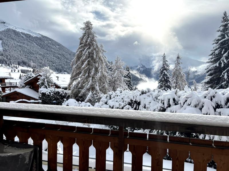 balcony railing, wooden balustrade, snowy mountain, winter scenery, pine trees