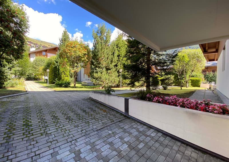 paved driveway, large trees, plants, street lights, flower beds, houses