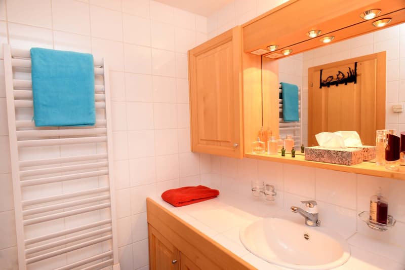 Sink, mirror, cabinet, towel racks, glass shelves, tissue box, soap and shampoo bottles