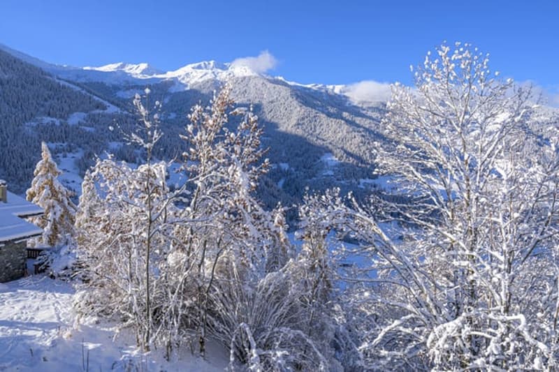 Chalet de 4.5 pièces à louer à Sarreyer, Valais (18)