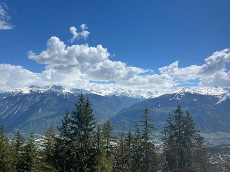 Superbe 4.5 pièces à Vermala avec vue panoramique, proche des pistes (6)