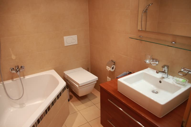 Luxueux appartement meublé à vendre à Champex-Lac. (12)