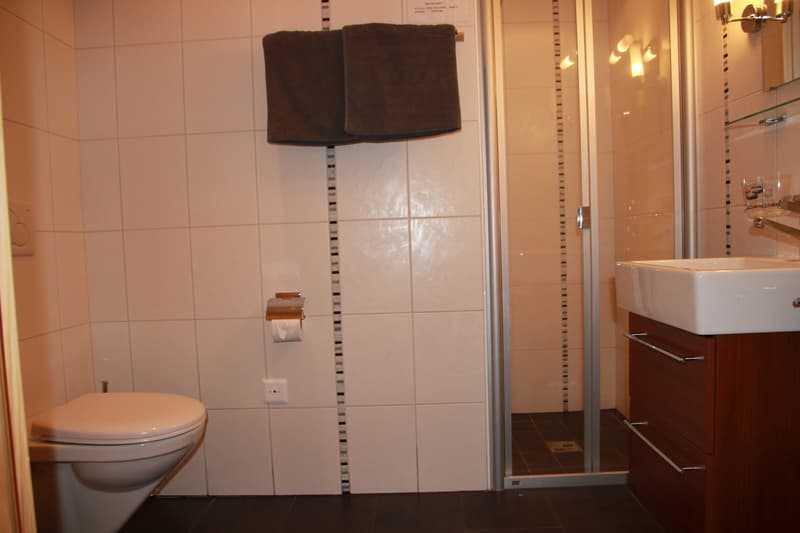 Luxueux appartement meublé à vendre à Champex-Lac. (9)