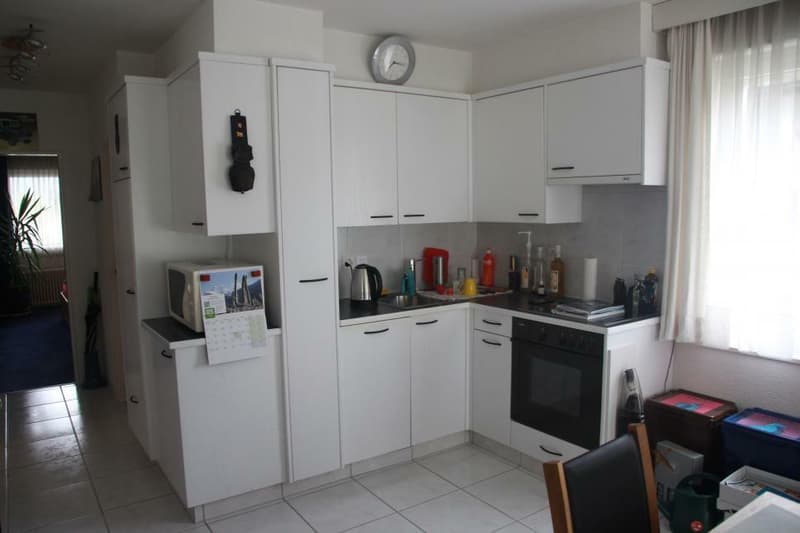 Spacieux 3,5 pièces de 98 m2 + 2 balcons 24 m2 appartement traversant et à l'angle sud de l'immeuble (9)