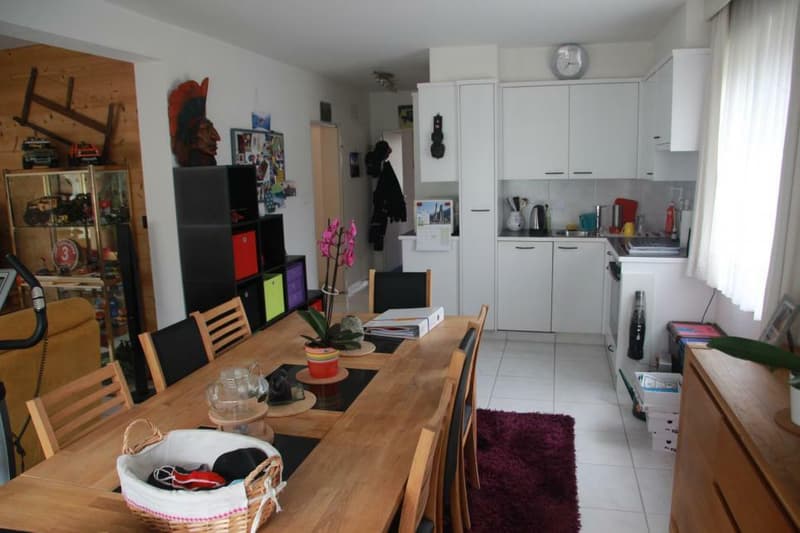 Spacieux 3,5 pièces de 98 m2 + 2 balcons 24 m2 appartement traversant et à l'angle sud de l'immeuble (8)