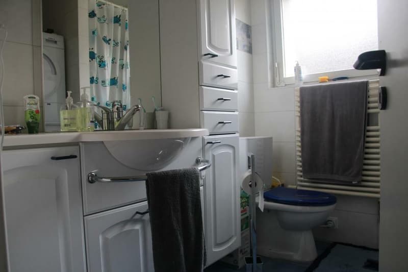 Spacieux 3,5 pièces de 98 m2 + 2 balcons 24 m2 appartement traversant et à l'angle sud de l'immeuble (10)