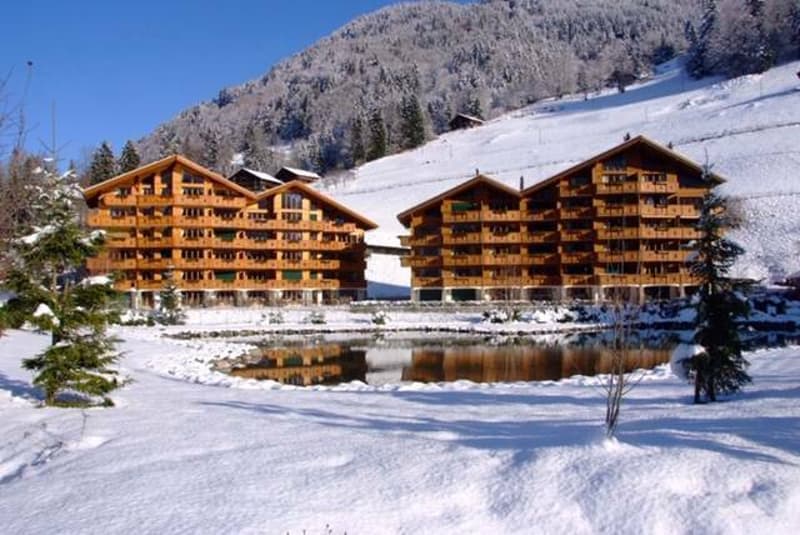 Bel Appartement meublé de 3,5 pièces de 69.66 m2 + pl. de parc dans garage, cave et armoire à Skis (2)