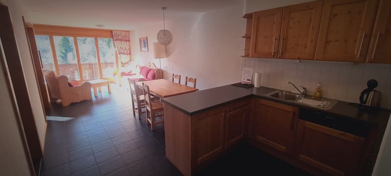 Bel Appartement meublé de 3,5 pièces de 69.66 m2 + pl. de parc dans garage, cave et armoire à Skis (5)