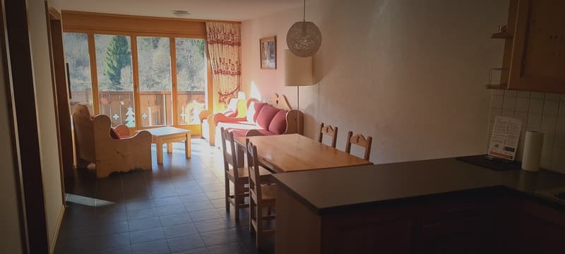 Bel Appartement meublé de 3,5 pièces de 69.66 m2 + pl. de parc dans garage, cave et armoire à Skis (4)