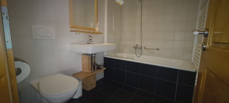 Bel Appartement meublé de 3,5 pièces de 69.66 m2 + pl. de parc dans garage, cave et armoire à Skis (6)