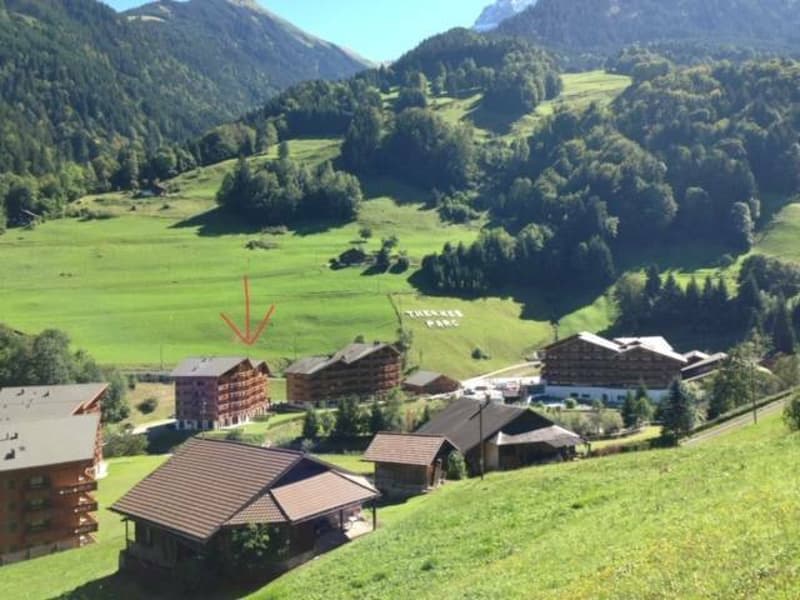 Bel Appartement meublé de 3,5 pièces de 69.66 m2 + pl. de parc dans garage, cave et armoire à Skis (3)