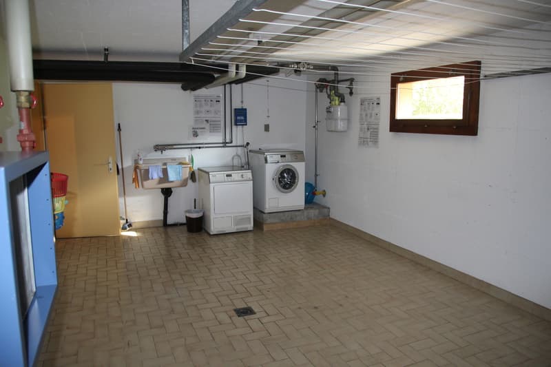 Appartement de 4,5 pcs 110 m2 avec cave, garage et place de parc (8)