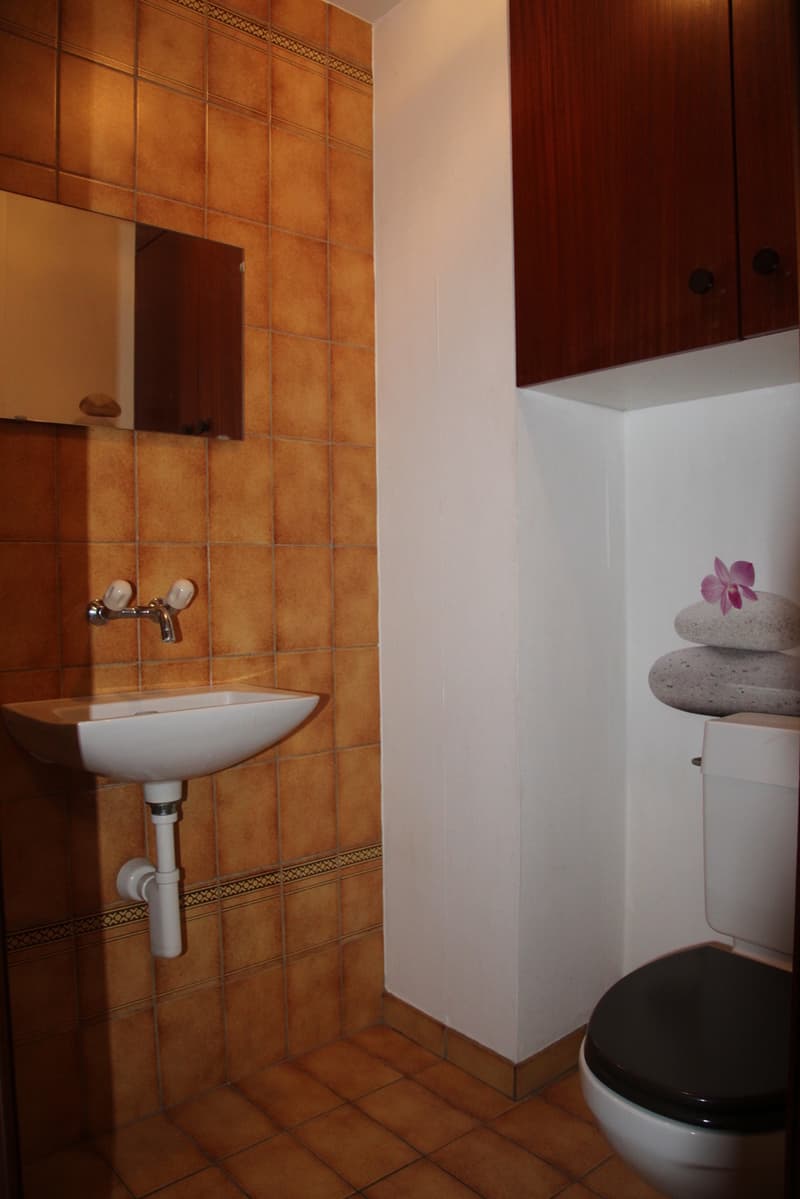 Appartement de 4,5 pcs 110 m2 avec cave, garage et place de parc (11)